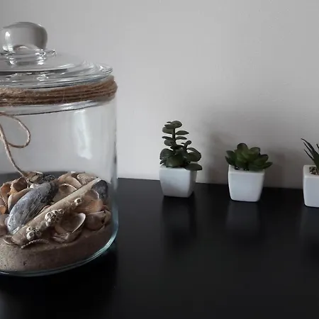 Wyspa Uznam - Rondo Rozy Wiatrow Apartment